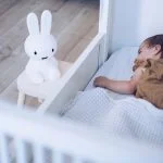Miffy My First Light - Luz de Presença - Image 8