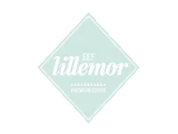 EEF Lillemor