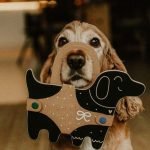 Tábua de Ardósia - O Cachorro - Image 3