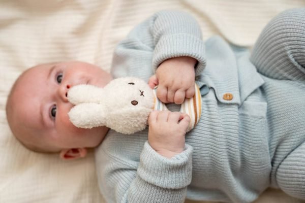 Roca - Bunny Miffy - Stripes - Image 7
