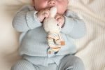 Roca - Bunny Miffy - Stripes - Image 5