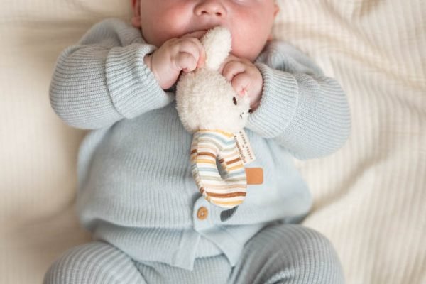 Roca - Bunny Miffy - Stripes - Image 5