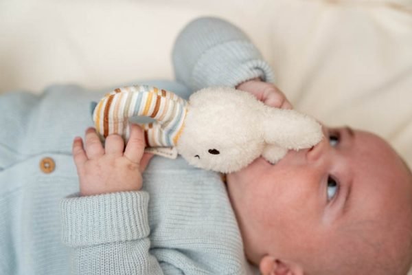 Roca - Bunny Miffy - Stripes - Image 4