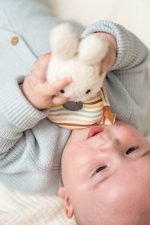 Roca - Bunny Miffy - Stripes - Image 3