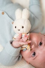 Roca - Bunny Miffy - Stripes - Image 2