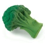 BRUCY - O Brócolo - Image 7