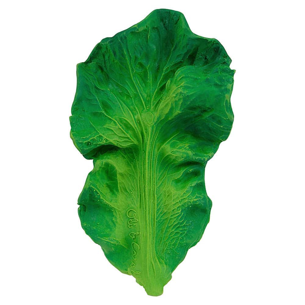 mordedor-kendall-a-couve-olicarol-1 KENDALL - A Couve - Image 1