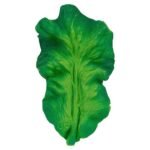 KENDALL - A Couve - Image 4