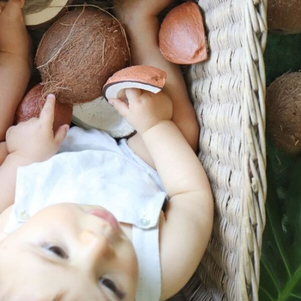 COCO - O Coco - Image 3