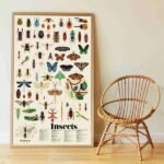 POPPIK - Descobre os Insetos - Image 8