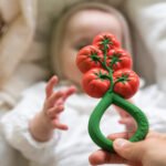 Roca e Mordedor - Tomate - Image 2