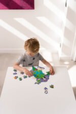 Compact Contour | Puzzle de Contorno : O Mundo - Image 2