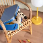 Roca Zebra - Les Toupitis - Image 2