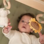 Ginásio de Madeira - Little Farm - Image 3