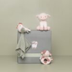 Gift-Box Little Farm - Image 3