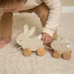 Coelhinhos de Puxar - Baby Bunny FSC - Image 4