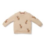 Sweater de Natal em Malha | Renas