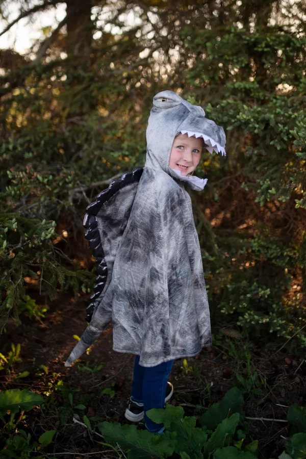 Capa de Dinossauro "Grandasaurus Spinosaurus" - 5/6 Anos - Image 3