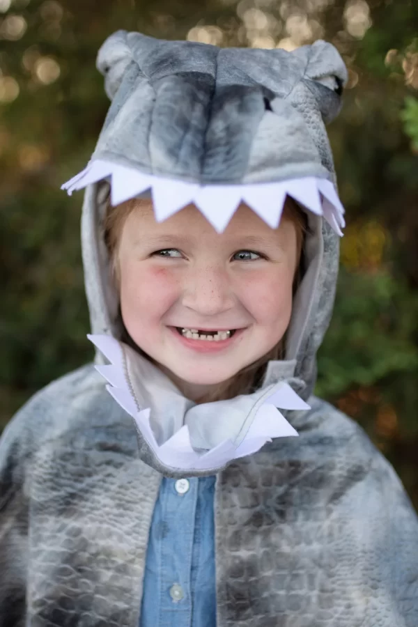 Capa de Dinossauro "Grandasaurus Spinosaurus" - 5/6 Anos - Image 5