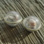 Bolas de Banho - Little Farm - Image 5