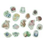 Little Dutch Bath Foam Figures