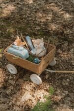Set de Malas Azul - Forest Friends FSC - Image 32