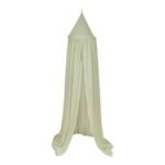 Dossel | Canopy Sage