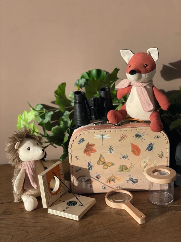 Kit de Explorador - Image 5
