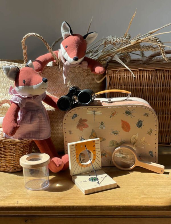 Kit de Explorador - Image 6