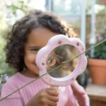 Lupa - Fairy Garden FSC - Image 2