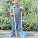 Ancinho - Forest Friends - Image 2