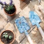 Planta e Vaso - Não-me-Esqueças - Image 2