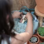 Planta e Vaso - Não-me-Esqueças - Image 5