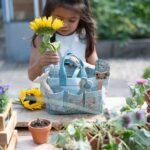 Planta e Vaso - Não-me-Esqueças - Image 4