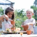 Planta e Vaso - Não-me-Esqueças - Image 6