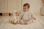 Peluche de Atividades – Little Goose - Image 2