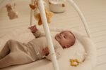 Ginásio de Actividades em Arco – Newborn Naturals GRS - Image 2