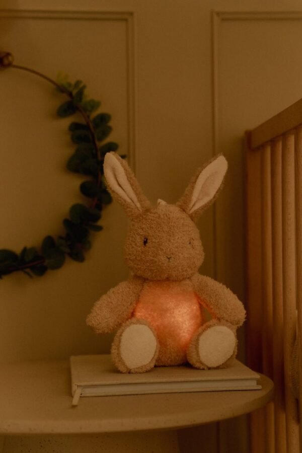 Coelhinho Doudou - Luz & Som - Image 6