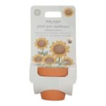 Planta e Vaso - Girassol - Image 8