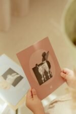 Clínica Veterinária LD - Image 14