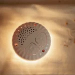 Doudou Little Goose | Luz & Som | Little Dutch - Image 10