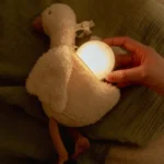 Doudou Little Goose | Luz & Som | Little Dutch - Image 3