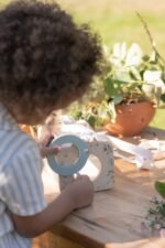 Caixa Observação de Insetos - Forest Friends FSC - Image 4