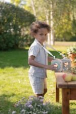 Caixa Observação de Insetos - Forest Friends FSC - Image 5