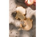 Conjunto de brinquedos de praia – Wild Animals - Image 3