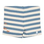 Calções de Banho -  Ocean Blue Stripes - Image 2