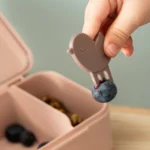 Lancheira pequena com picks de snack Powder | Tiny Farm - Image 2