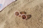 Óculos de Sol de Criança - Shell Mermaid Pink - Image 8