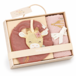 Caixa Presente | Safari Friends | Flamingo - Rosa